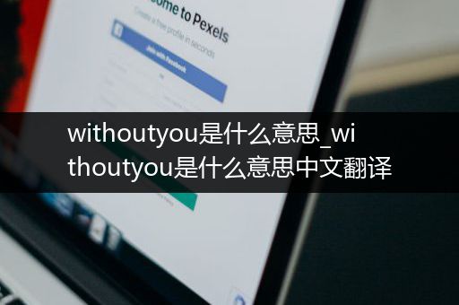 withoutyou是什么意思_withoutyou是什么意思中文翻译
